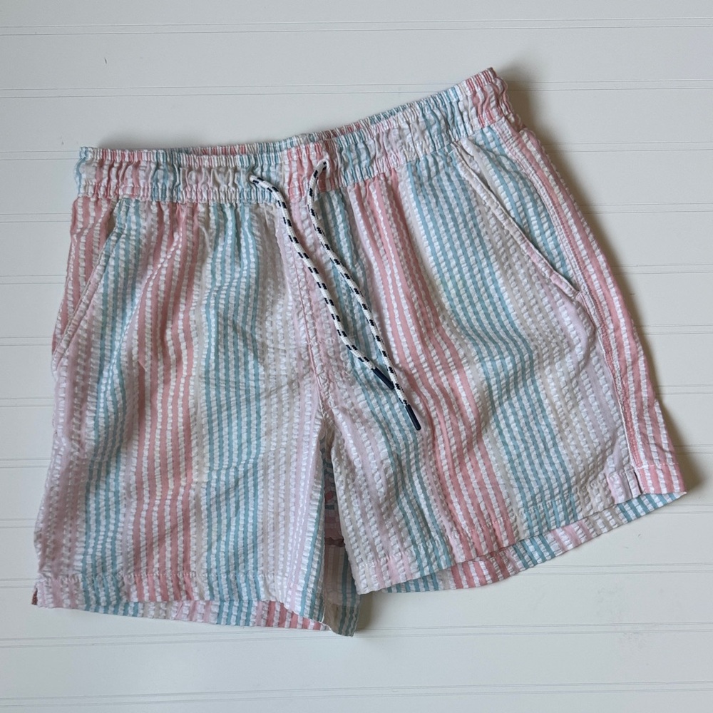 American Eagle Outfitters Men's Pastel Pink & Light Blue Striped Swim Trunks